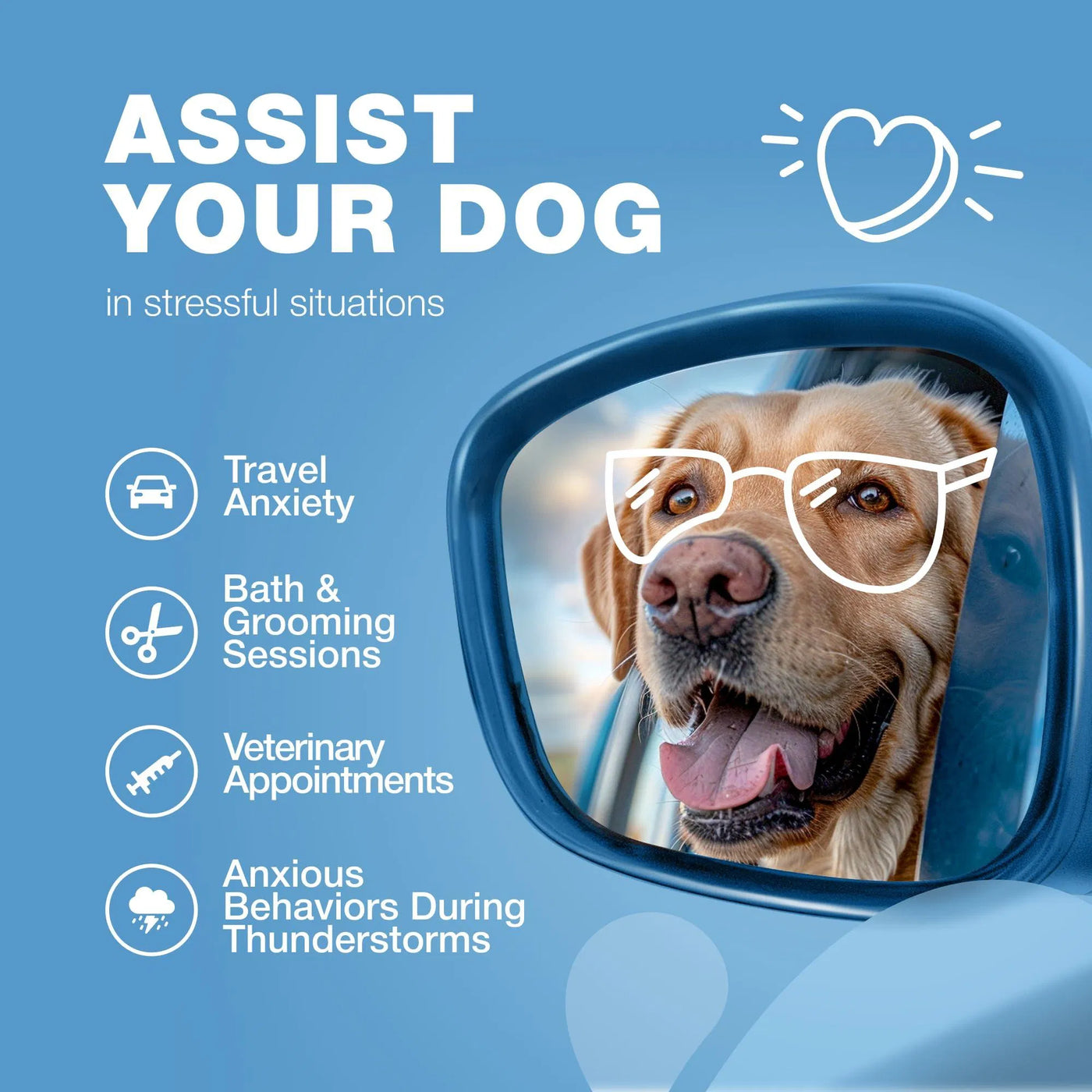 Hemp Calming Chews For Dogs Anxiety Dog Calming Treats With Melatonin product image