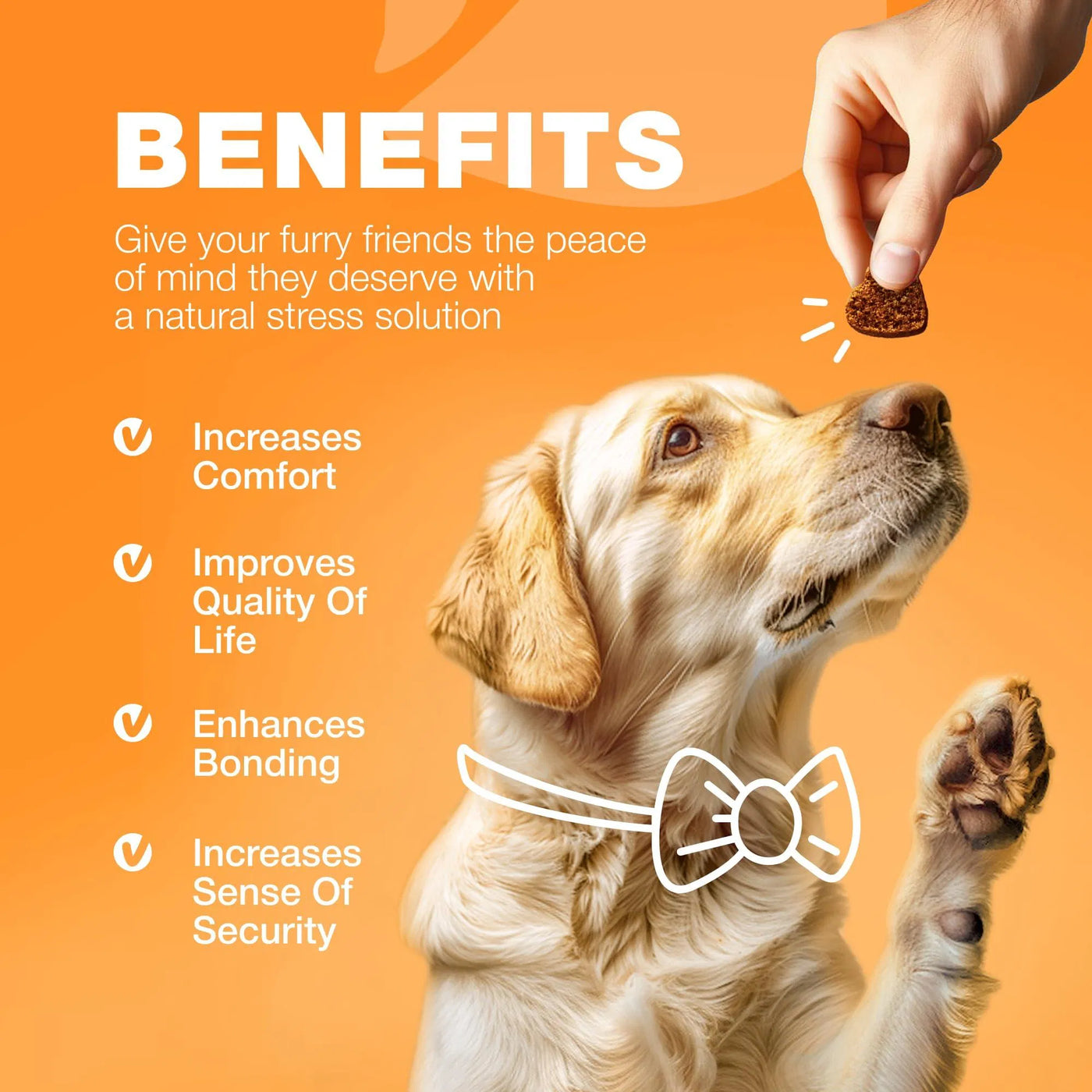 Dog Allergy Relief Chews Itch Relief For Dogs Anti Itch Dog Allergy Ch product image