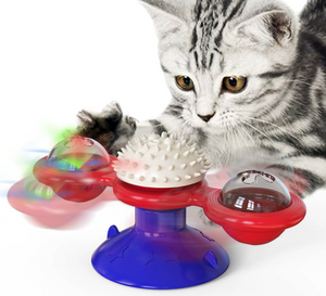 Cat Entertainment Set With Rotating Disk