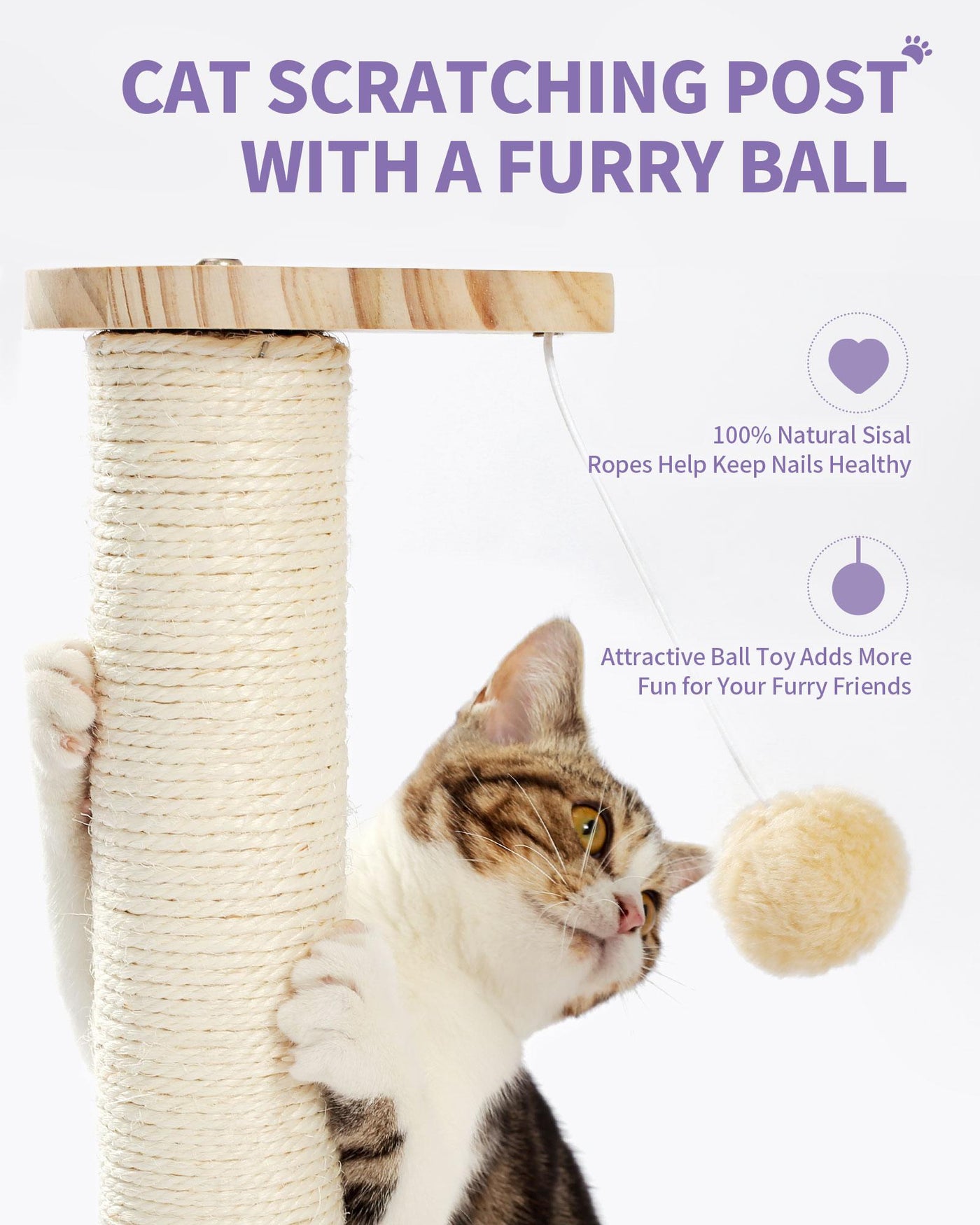Indoor Cat Soft Scratching Board And Interactive Ball Track Toy Cat Re product image