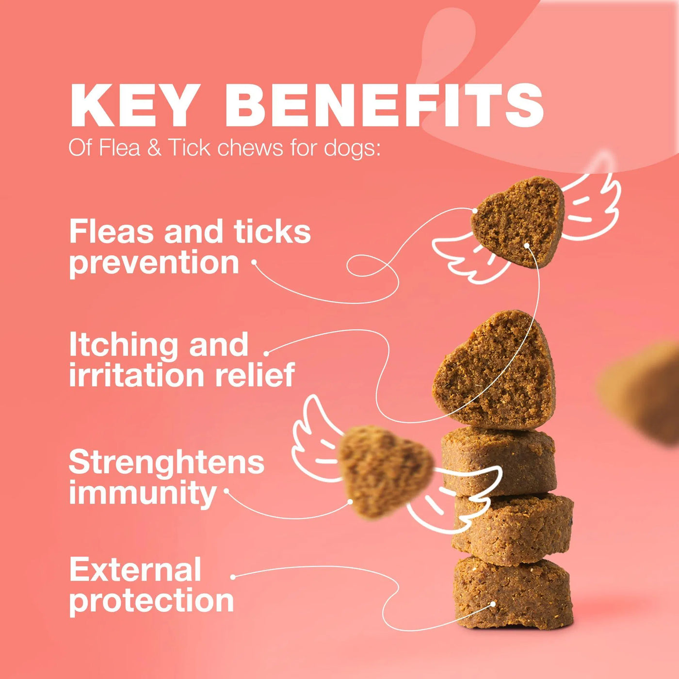 Dog Flea And Tick Treatment Chews Fleatick Prevention For Dogs Chewabl product image