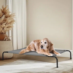 Large Orthopedic-Style Dog Bed