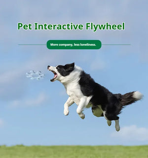 Interactive Dog Flywheel Enrichment Toy
