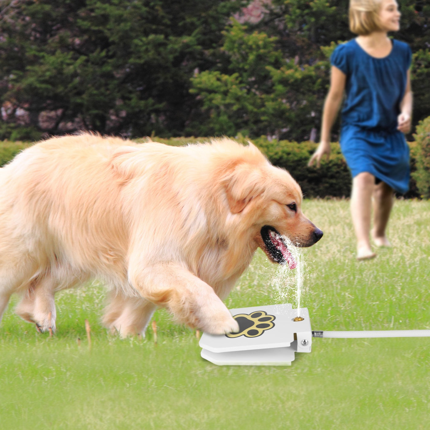 1Pc Dog Water Fountain Outdoor Dog Pet Water Dispenser Step-On product image