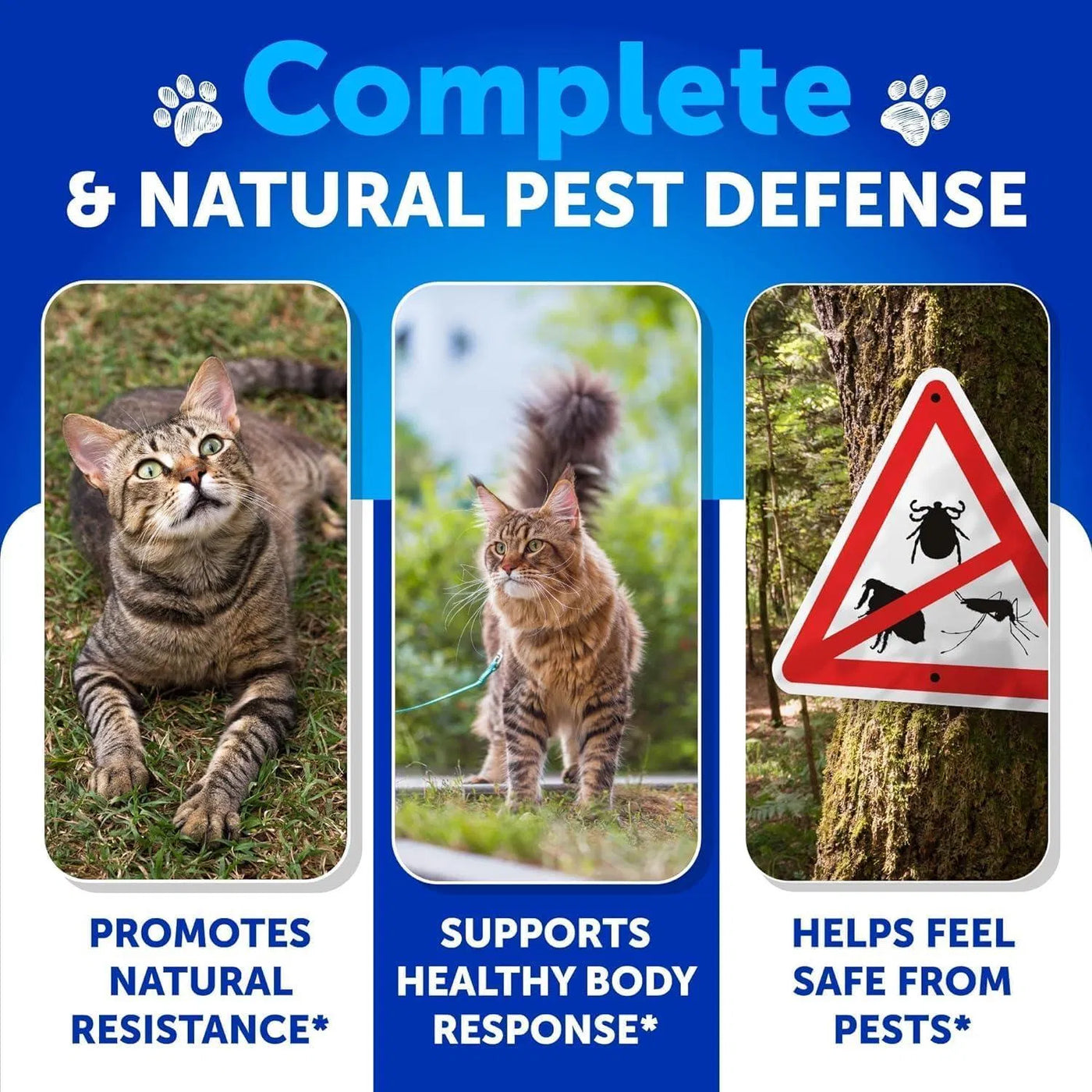 Pet Flea Treatment For Cats Natural Flea And Tick Prevention Supplement Fo product image