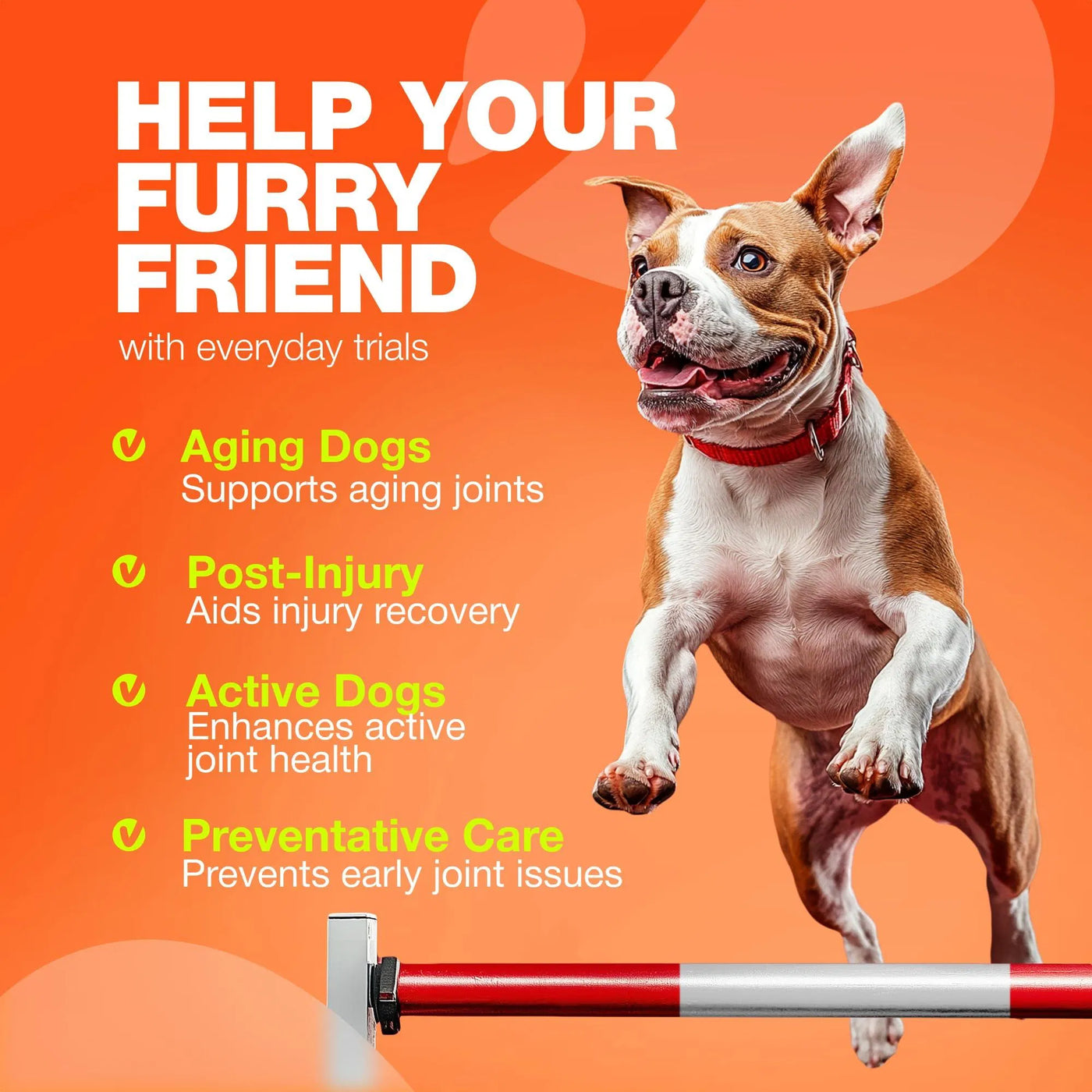 Pet Glucosamine For Dogs Hemp Hip And Joint Supplement For Dogs Glucosamin product image