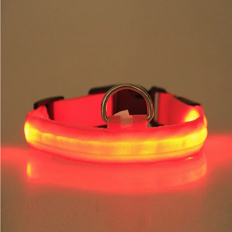Led Pet Safety Halo Style Collar product image