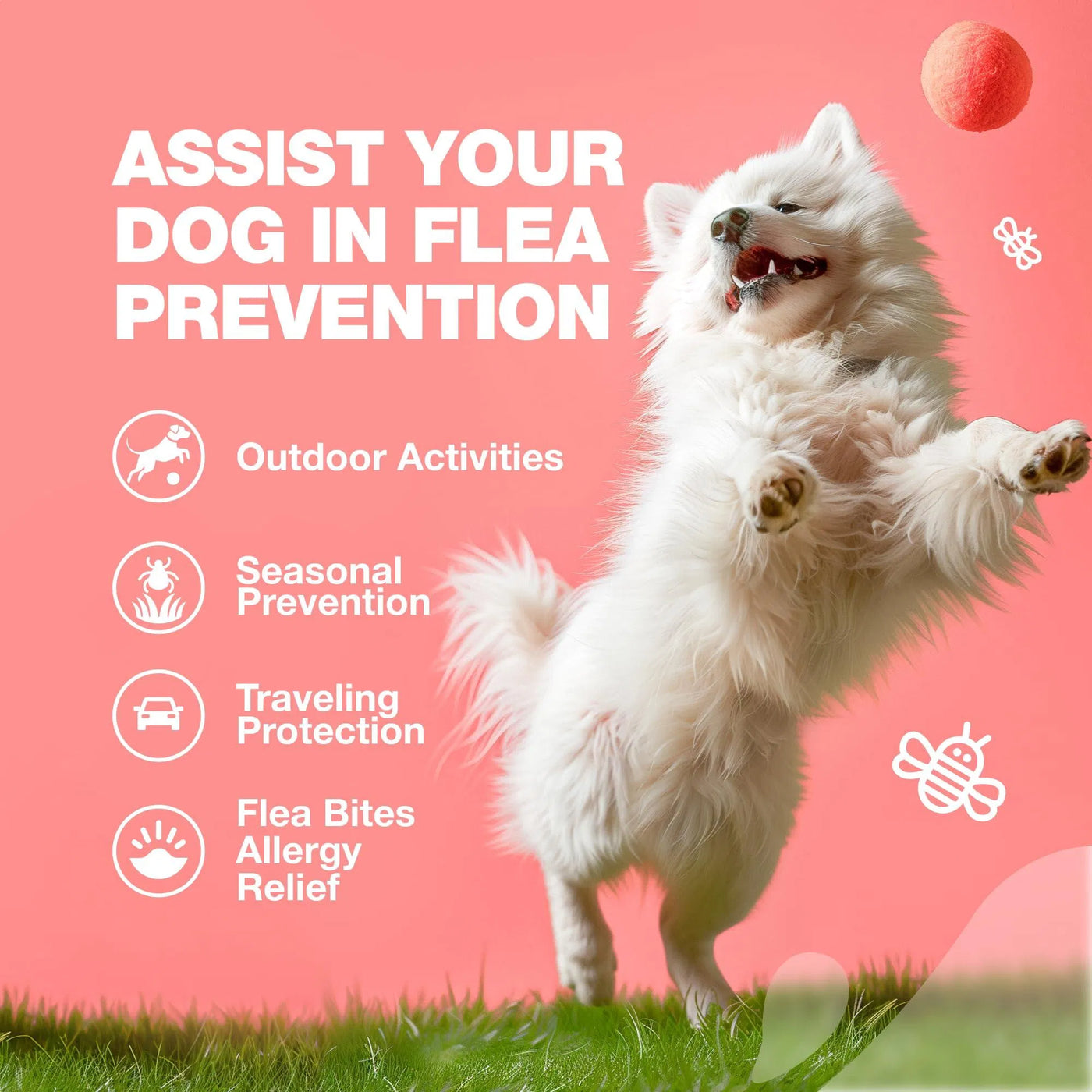 Dog Flea And Tick Treatment Chews Fleatick Prevention For Dogs Chewabl product image