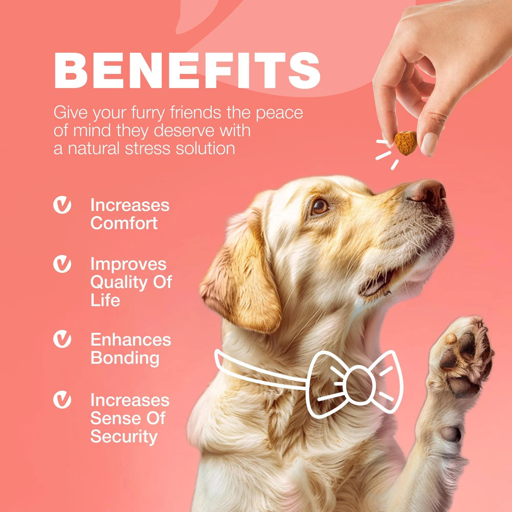 Dog Flea And Tick Treatment Chews Fleatick Prevention For Dogs Chewabl product image