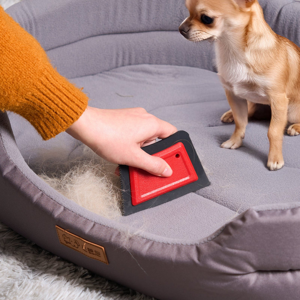 Mini Pet Hair Remover Reusable Advanced Pet Hair Removal Tool For Couc product image
