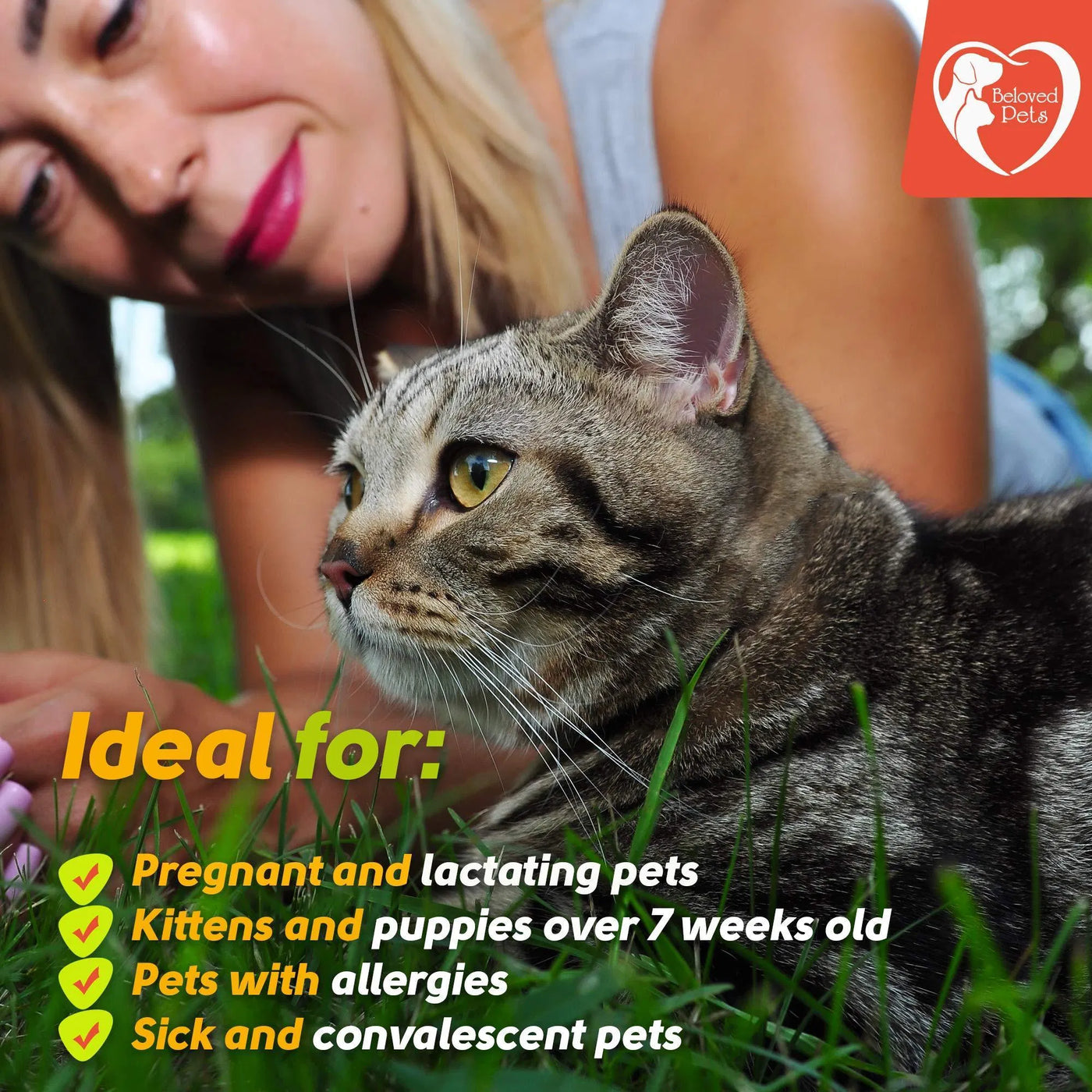 Pet Flea And Tick Prevention For Dogs Cats Rabbits Natural Flea Treatment product image